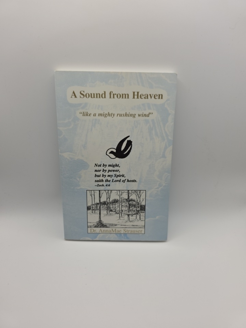 A Sound from Heaven Paperback Book - Light Blue